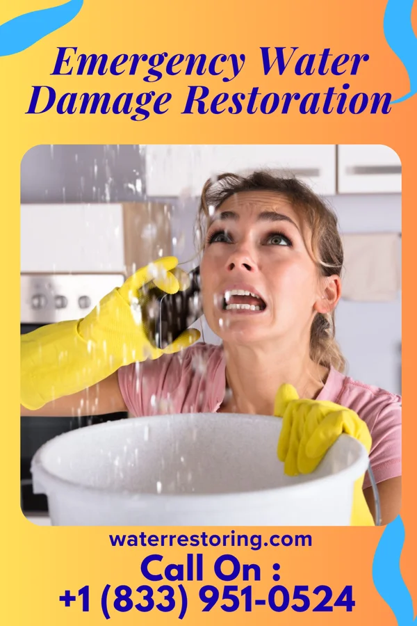 Emergency Water Damage Restoration in Carlinville, IL